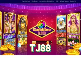 Servidor Brasil TJ88